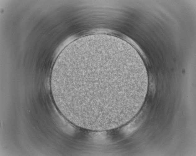 X0000082720810200702232320