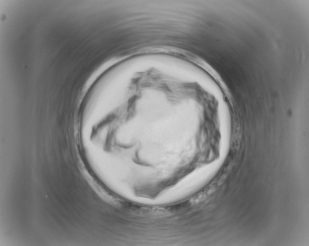 X0000082720811200702232320