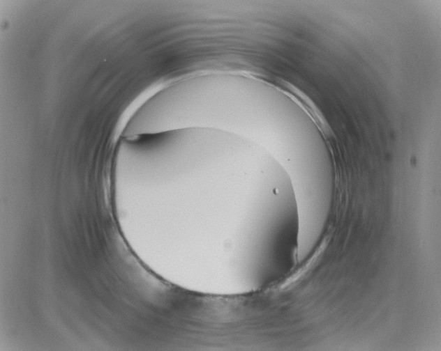 X0000082720812200702232320