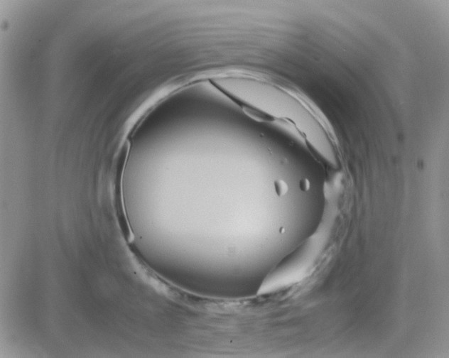 X0000082720813200702232320