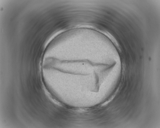 X0000082720814200702232320