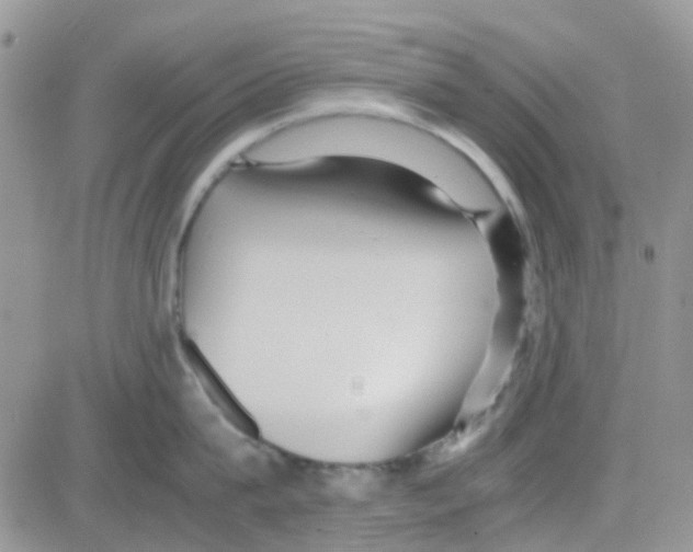 X0000082720815200702232320