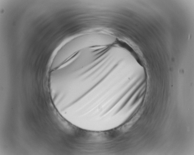 X0000082720816200702232320