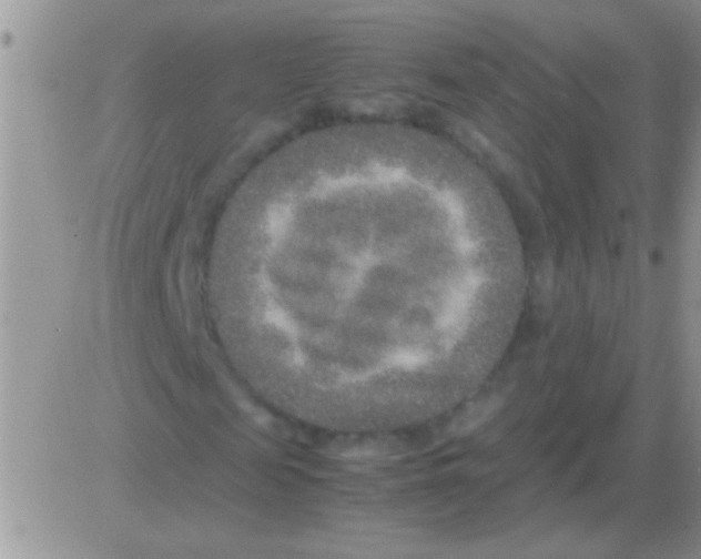 X0000082720817200702232319