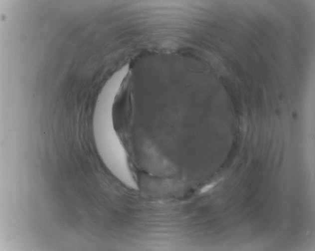 X0000082720818200702232319