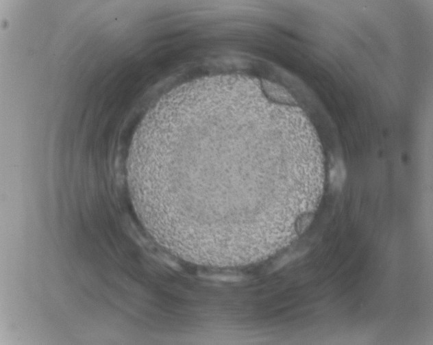 X0000082720819200702232319