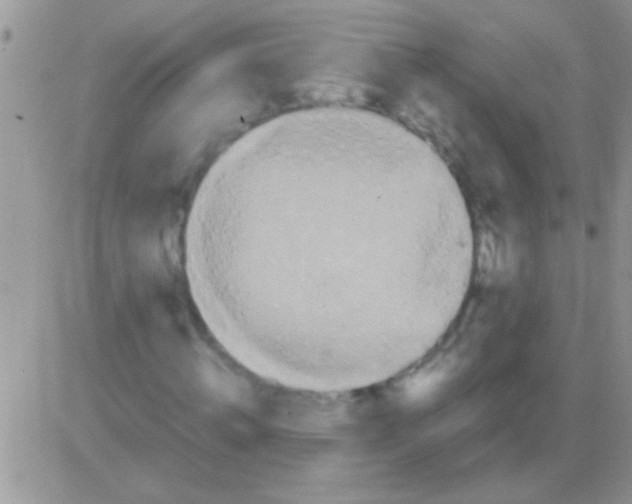 X0000082720820200702232319