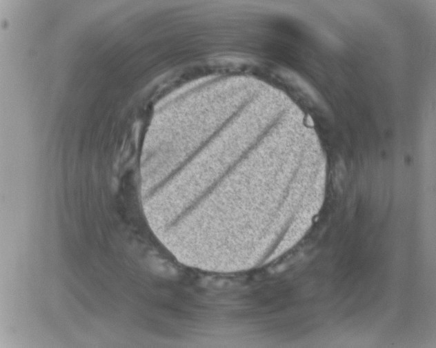 X0000082720821200702232319