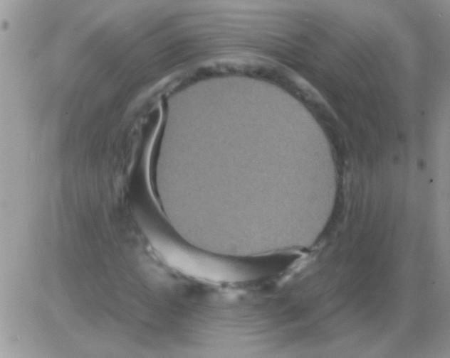 X0000082720822200702232319