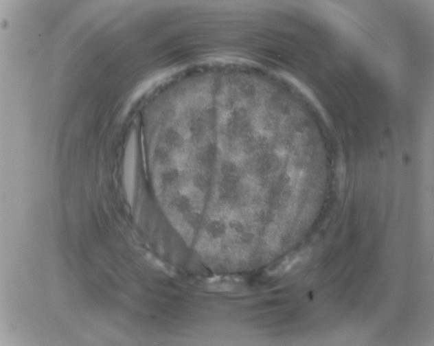 X0000082720823200702232319