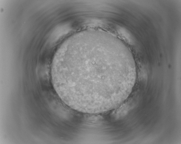 X0000082720824200702232319