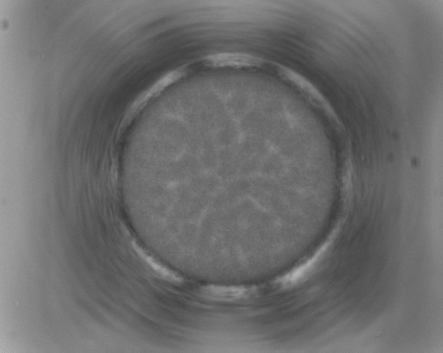 X0000082720825200702232319