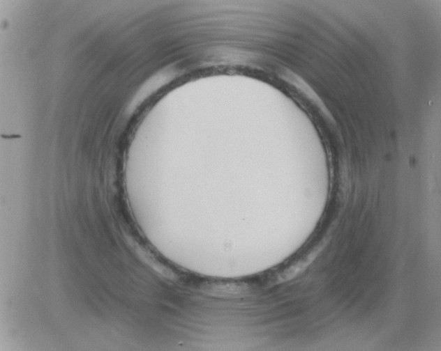 X0000082720826200702232319