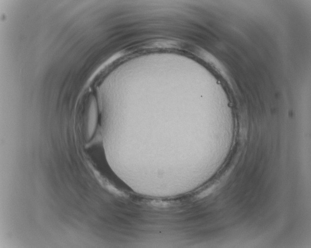 X0000082720827200702232319