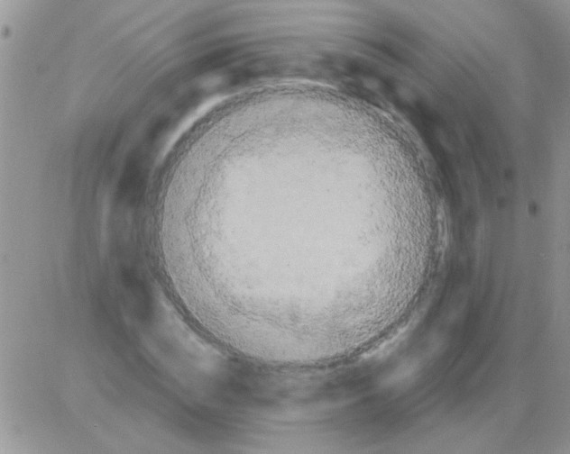 X0000082720828200702232319