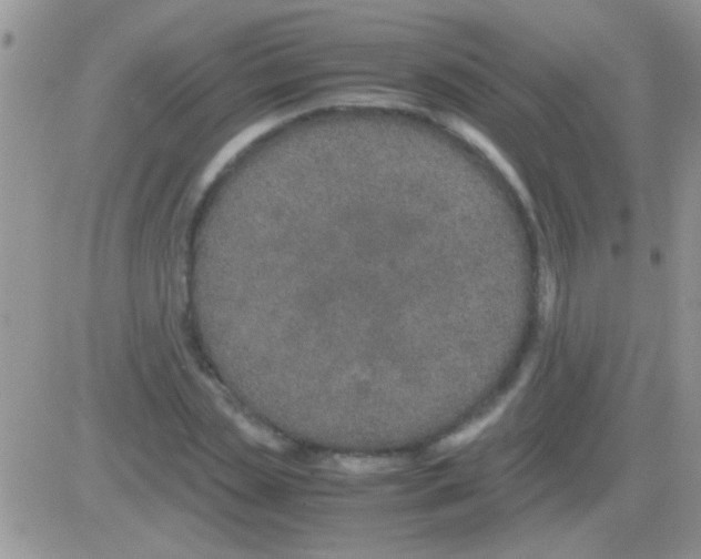 X0000082720829200702232319