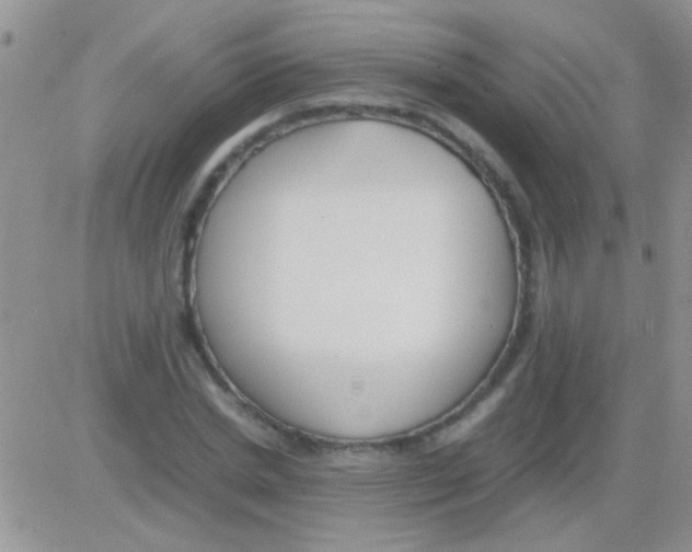 X0000082720830200702232319