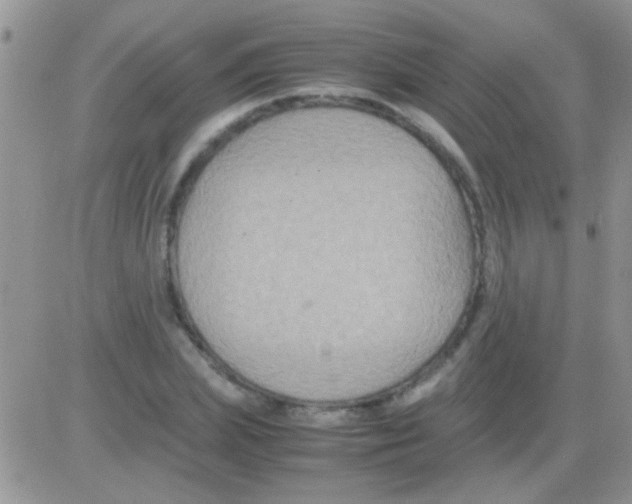 X0000082720831200702232319