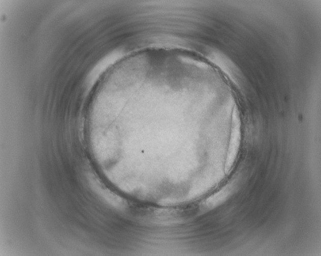 X0000082720832200702232319