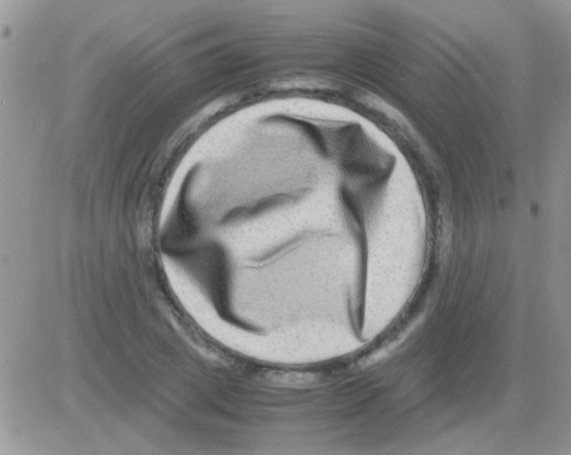 X0000082720833200702232319