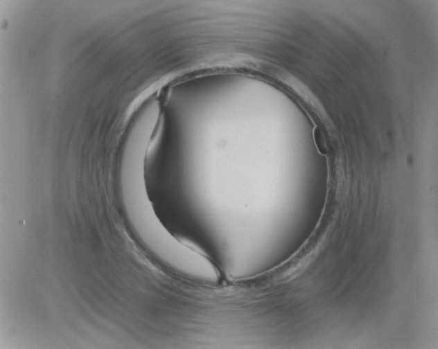 X0000082720834200702232319