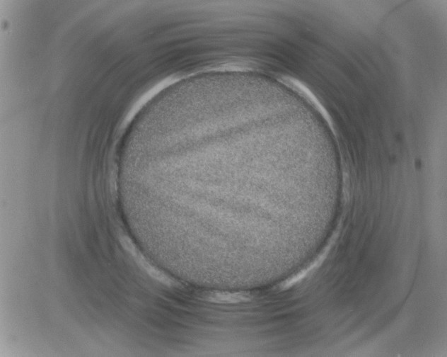 X0000082720835200702232319