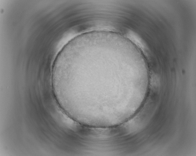 X0000082720836200702232319