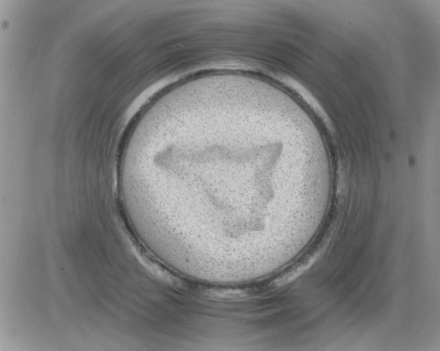 X0000082720837200702232319