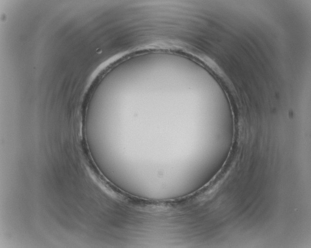 X0000082720838200702232319