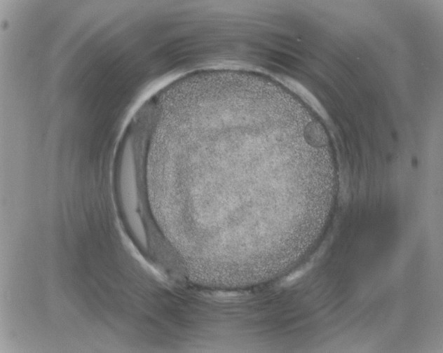 X0000082720839200702232319