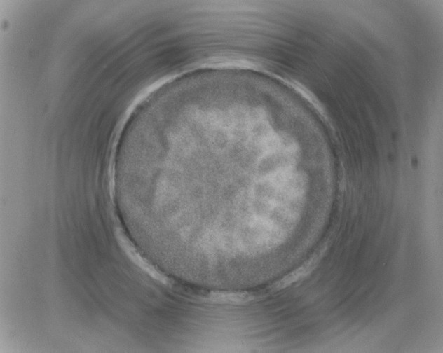 X0000082720840200702232319