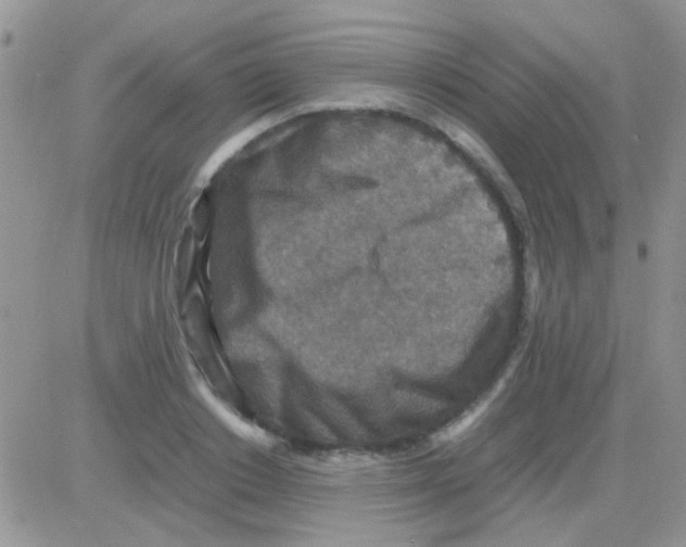 X0000082720842200702232319