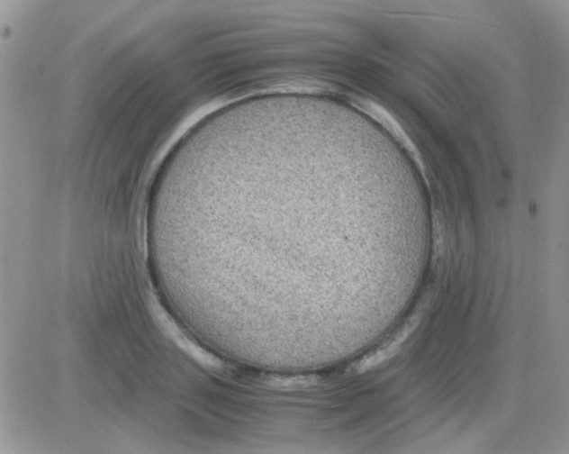 X0000082720843200702232319