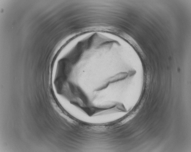 X0000082720844200702232319