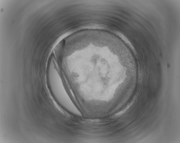 X0000082720845200702232319