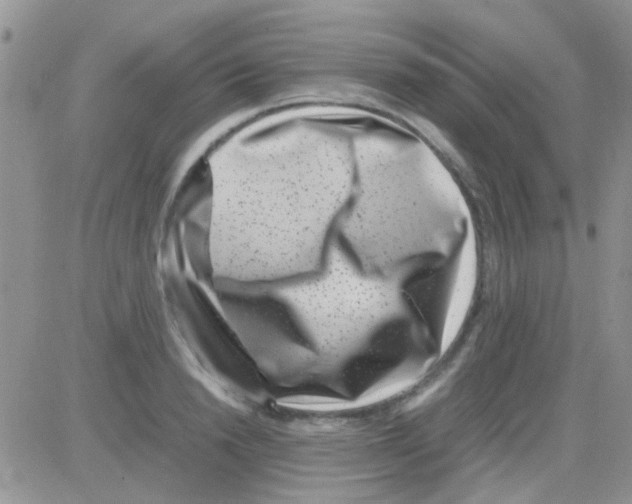 X0000082720846200702232319