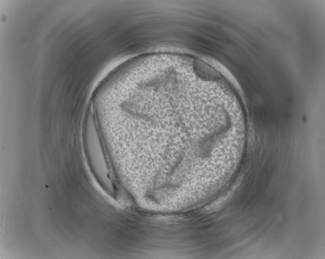 X0000082720847200702232319