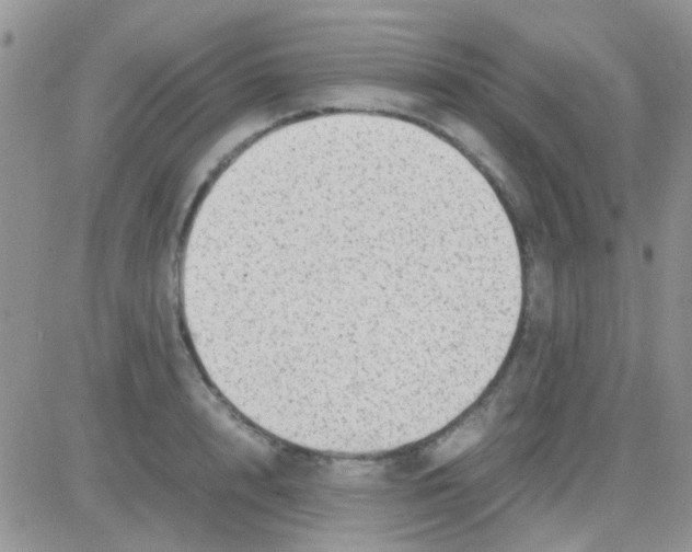 X0000082720848200702232319