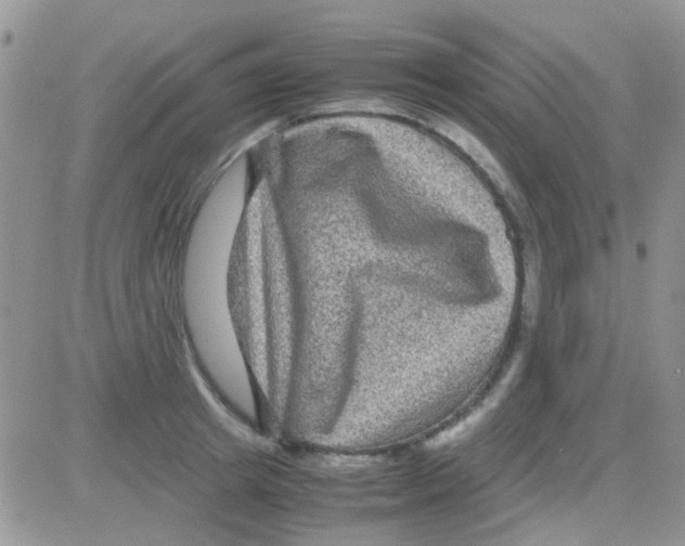 X0000082720849200702232320