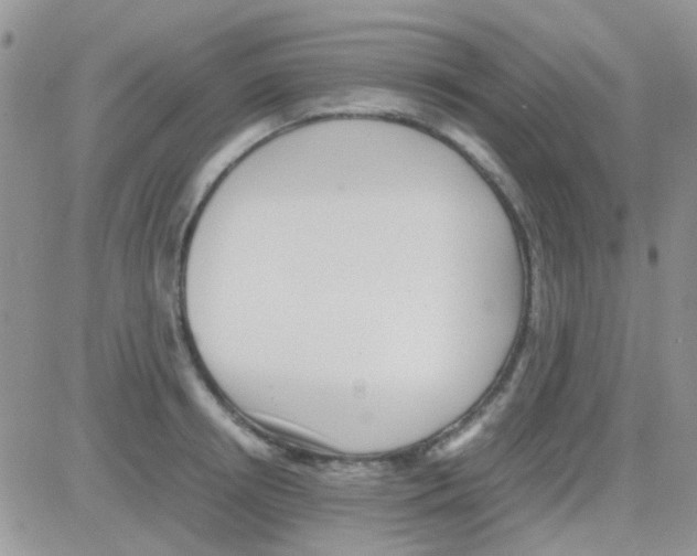 X0000082720850200702232320