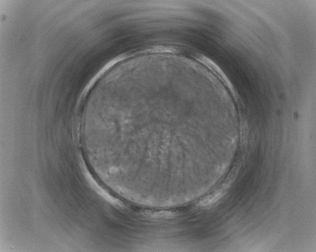 X0000082720851200702232320