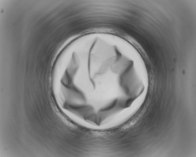 X0000082720852200702232320