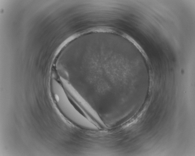 X0000082720853200702232320