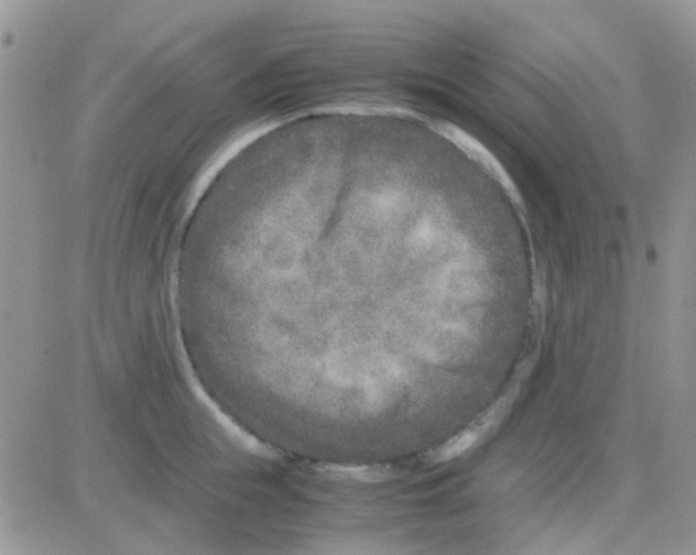 X0000082720855200702232320