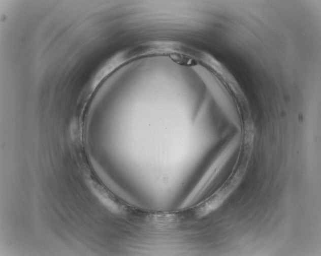 X0000082720858200702232320