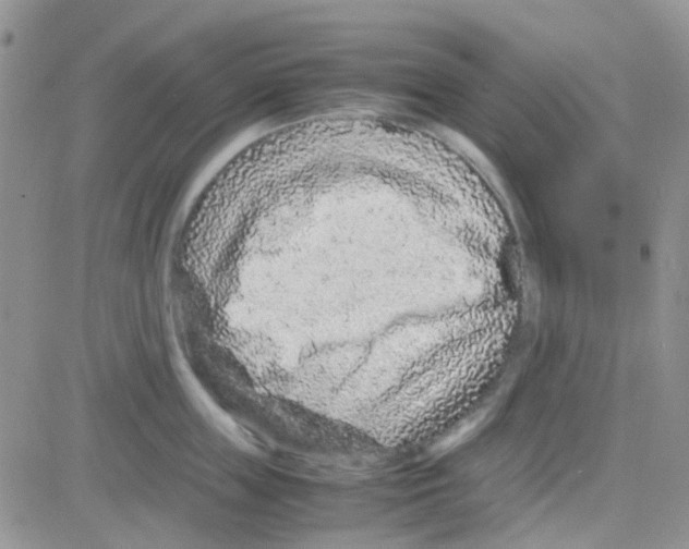 X0000082720859200702232320