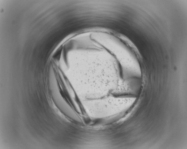 X0000082720860200702232320