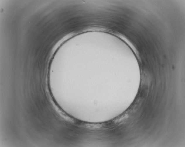 X0000082720861200702232320