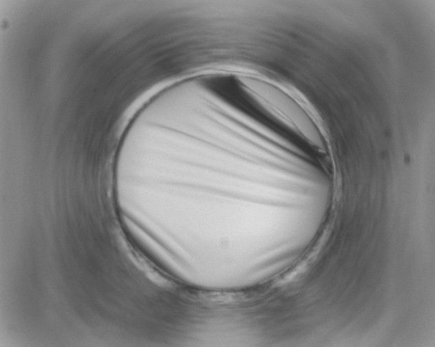 X0000082720862200702232320