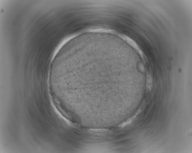 X0000082720863200702232320